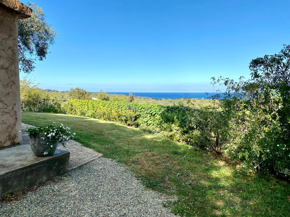 Domaine Punta Della Guardia Villa Panorama Maquis Et Mer, Plage A 1,5 Km Cervione Exteriér fotografie