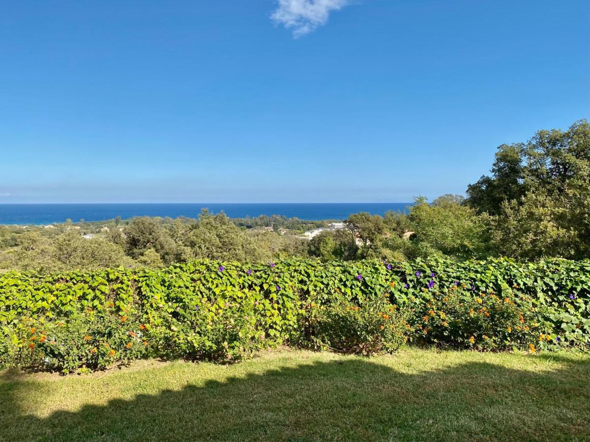 Domaine Punta Della Guardia Villa Panorama Maquis Et Mer, Plage A 1,5 Km Cervione Exteriér fotografie